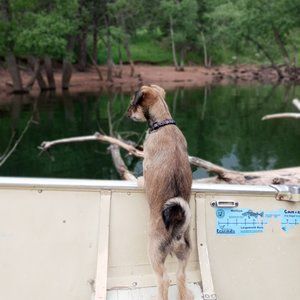 Meet your Posher, Justine